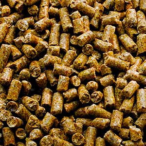 Garvo - 714 Ras jonge hennenkorrel, 20 KG